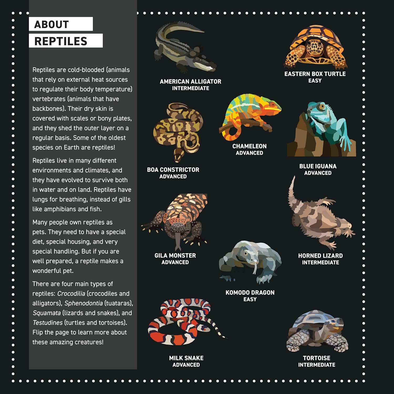 My Sticker Paintings Reptiles -  Sticker Activity Book
