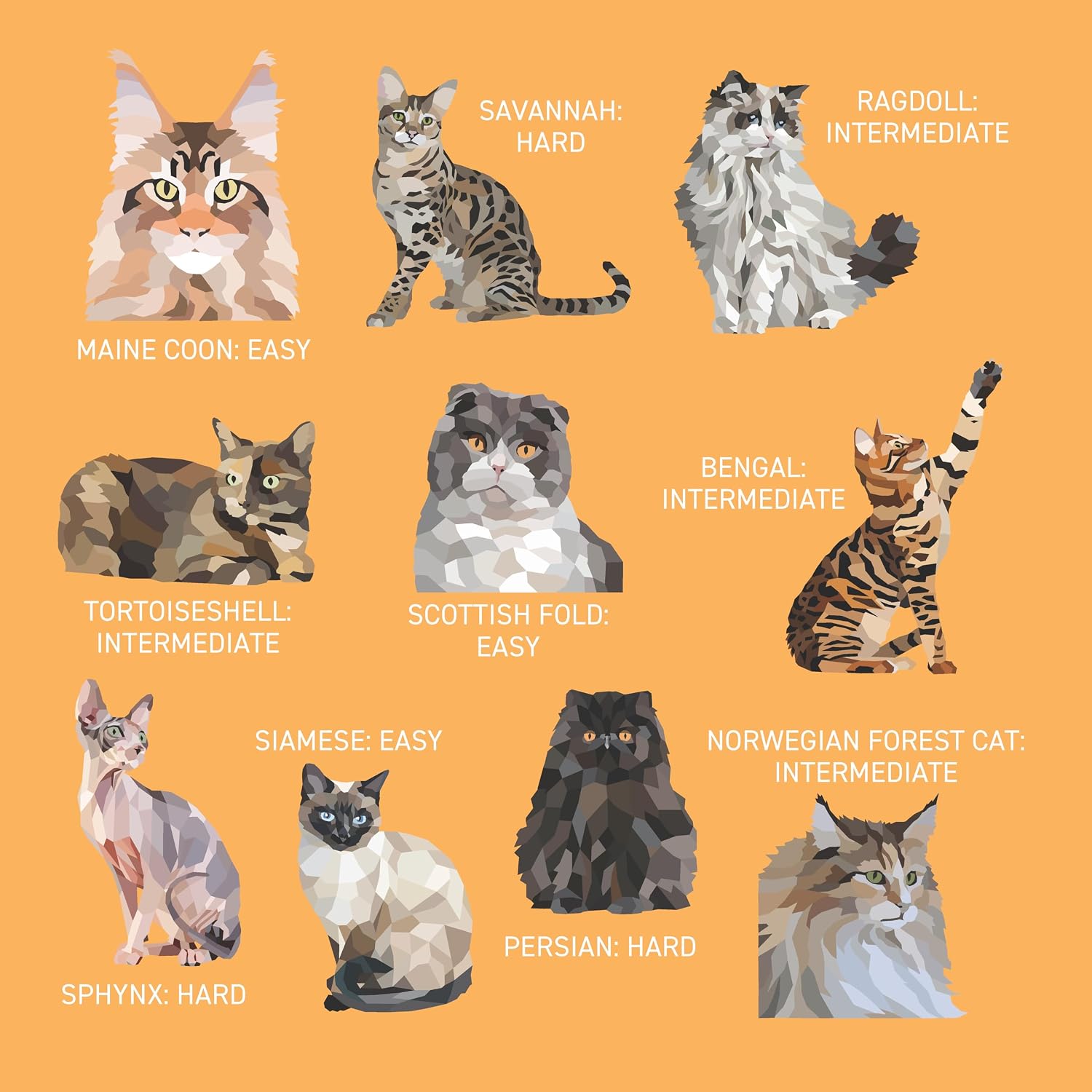 My Sticker Paintings Cats -  Sticker Activity Book