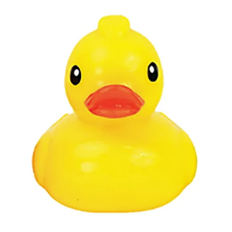 Toysmith Neon Duck Sugar Skwisheez 3 Inch Squishy Sensory Fidget Toy - Assorted